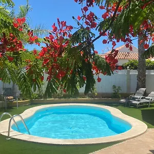 World Villa